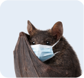 Bat Control