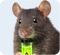 Rat Control
