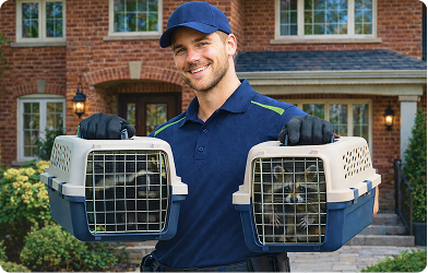 Humane Wildlife Removal